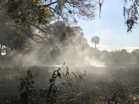 Trowbridge Brush Fire